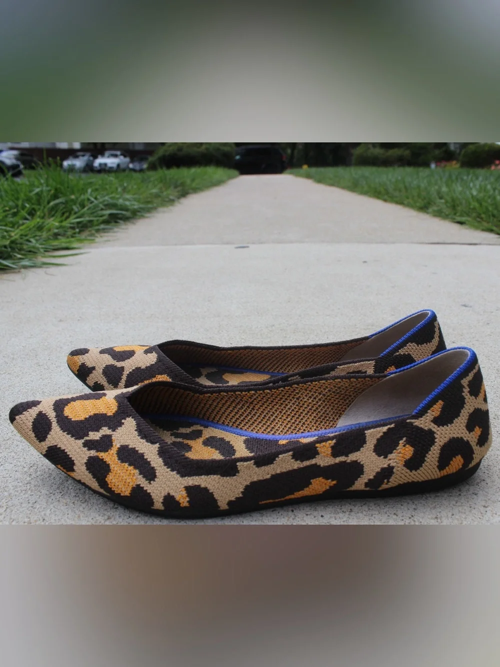 Rothys these shoes